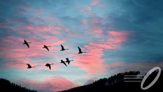 How To Migrate From Local Servers To The Cloud Now It Connects
