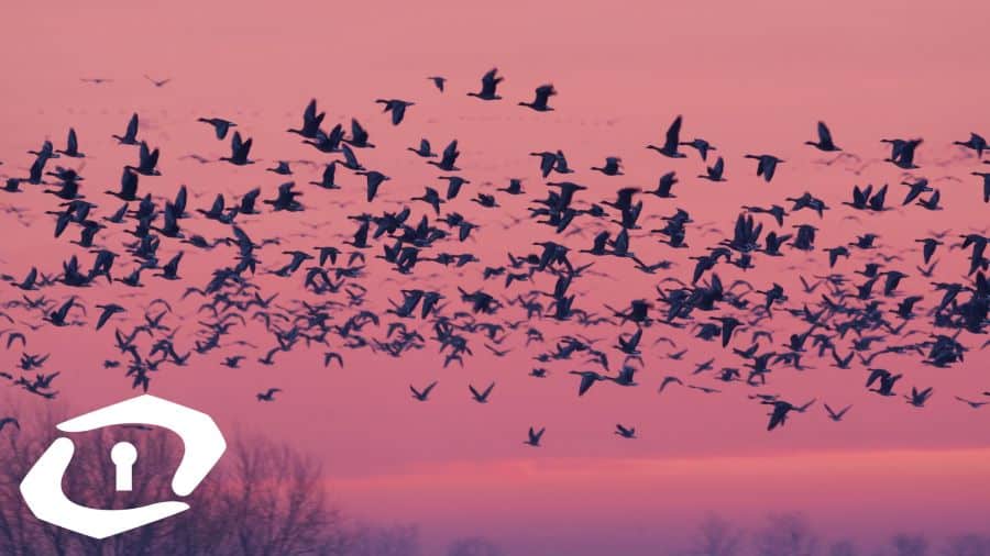 How To Migrate From Local Servers To The Cloud Sharetech